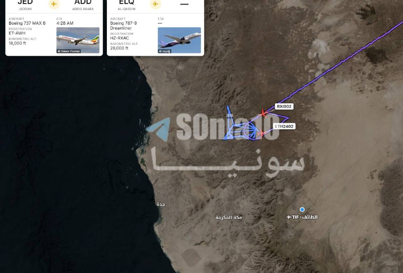 توقف مطار الطائف في السعودية بسبب هجوم يمني مُحتمل.