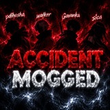 ACCIDENT MOGGED