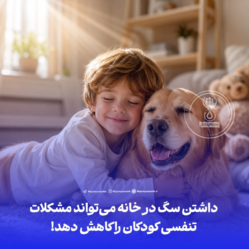 آموزشگاه طبی سید: داشتن سگ در خانه میتواند مشکلات تنفسی کودکان را کاهش دهد!◽️پژوهشی روی ۳۶۸ نوزاد نشان داده است که میکروبهای واردشده به
