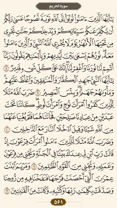 کانال خبری نطنز: 🔹صفحه: 561💠سوره تحریم: آیات 8 الی 12#قرآن #طرح_ختم_قرآن #تلاوت_روزانه #تلاوت_قرآن@natanz1394🔹صفحه: 561💠سوره تحریم: آیات 