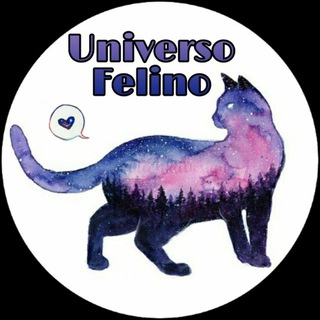 Uᥒιvᥱrso Fᥱᥣιᥒo 🐈 Telegram Group Link