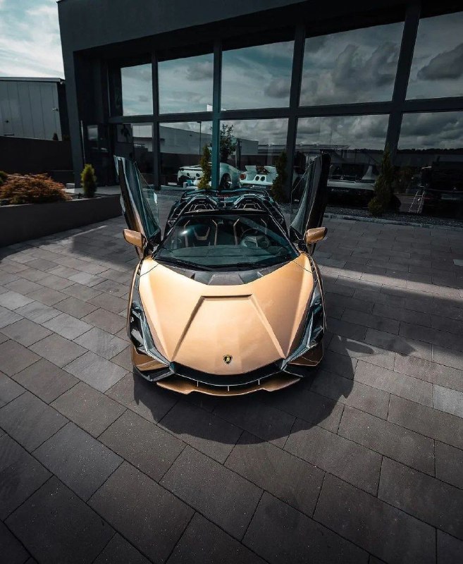 Lamborghini sian Roadster