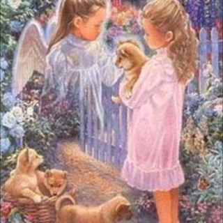 💛🍀❤️ Engelsburger Tierliebe auf 4 Pfoten❤️🍀💛, Austausch ☕️, Vermittlung 🐶🐱🐰🐭