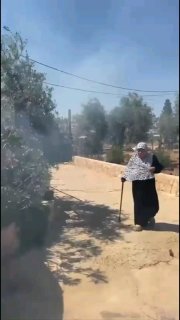 רשת חדשות ירושלים