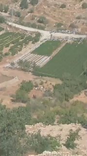 כוחות הכיבוש תוקפים תושבים ועוצרים מספר צעירים במקביל לתקיפה של מיליציות מתנחלים באזור חמרוש סמוך ליישוב סע…