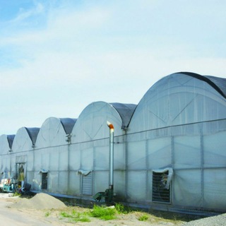 ISSIQXONA VA AGRO REKLAMA
