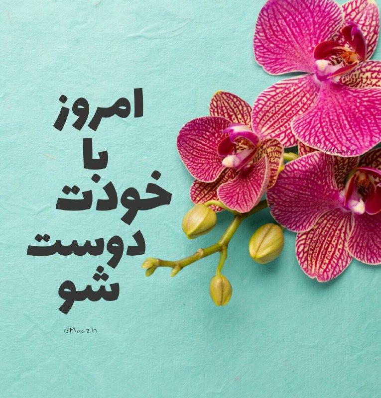 🌸 زندگے جاریست 🌸: امـروز با خـودت دوست شو ایـن جـوری هـیچ وقـت تـنها نـیـستی 🌸🍃🍃🌸 @Zendegijarist2