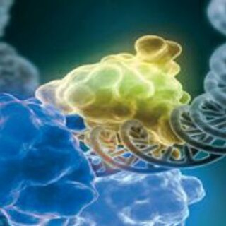 Biochemistry Telegram Group Link