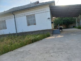 Hovli sotladi/ продается дом