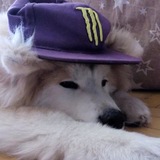 TwixXd [рест]