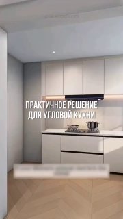 Вариант организации в угловой кухни идеи для дома - изображение 1 - вариант, организации, угловой