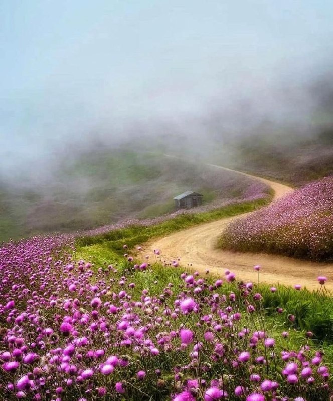 خبرگزاری صداوسیما-گیلان🇮🇷: 🌻🍃بسم الله الرحمن الرحیم🍃🌻امروز دوشنبه ۲ شهریور ۱۴۰۵ هجری خورشیدی ، ۱۱ ربیع الاول ۱۴۴۸ هجری قمری و ۲۴ آگوست ۲۰۲۶ میلادی#