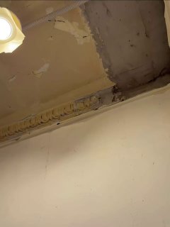 Почему мы решили убрать старинную лепнину в сталинке? Когда начали снимать натяжной потолок, заказчица обнаружила под ним красивую старинную лепнин... - изображение 2 - лепнину, сохранить, почему