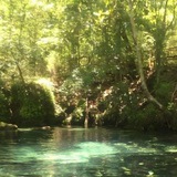 Green Beautiful ЩП