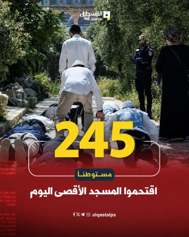 مستوطنون يقتلعون أشجار زيتون برعاية جنود الاحتلال