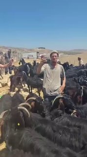 דחוף: מתנחלים מסתערים על ביתו של הפלסטיני נאיף אל-כעבנה, מזרחית לכפר אל-טייבה, מזרחית לרמאללה.