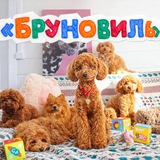 Бруновиль Life 🐶 для кожаных