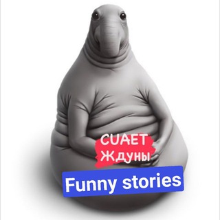 Найкраще з CUAET