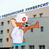 Записки юного Вовчика