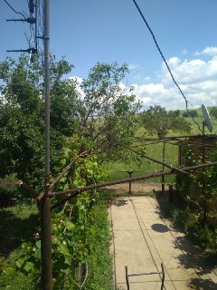 House/Land plot for sale, in a good location.