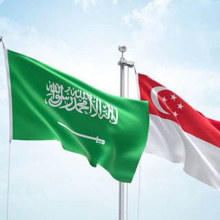 ابتعاث خادم الحرمين/جامعات سنغافورة
