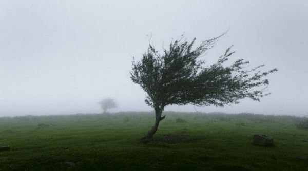 آخرین خبر کرمان: شلم‌شوربای هوا در کرمان، از رگبار و رعدوبرق تا طوفان شن و انتقال ریزگرد🔹طبق اعلام سازمان هواشناسی، هر نقطه از کرمان، هوا