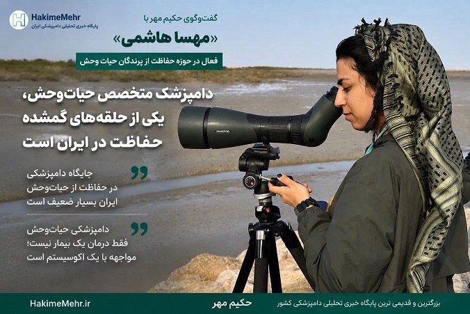 حکیم مهر: گفتوگوی حکیم مهر با «مهسا هاشمی» فعال حوزه حفاظت از پرندگان حیاتوحش:✅ دامپزشک متخصص حیاتوحش، یکی از حلقههای گمشده حف