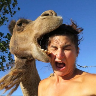 Telegram profile photo for Crazy Moments USA