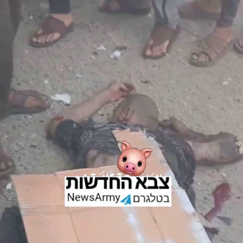 מחבל חוסל בתקיפת החולייה בנוסייראת.