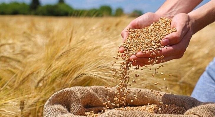 پایگاه خبری سفیرافلاک: 📣 خرید محصولات کشاورزی لرستان از مرز ۹۸ هزار تُن گذشتمدیرکل تعاون روستایی لرستان: از ابتدای فصل برداشت محصولات کشاورزی،
