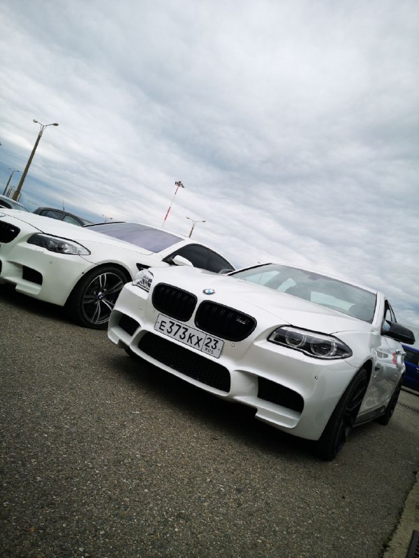 https://t.me/bmw_mpower_club
