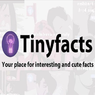 Telegram profile photo for 💡 Tiny Facts