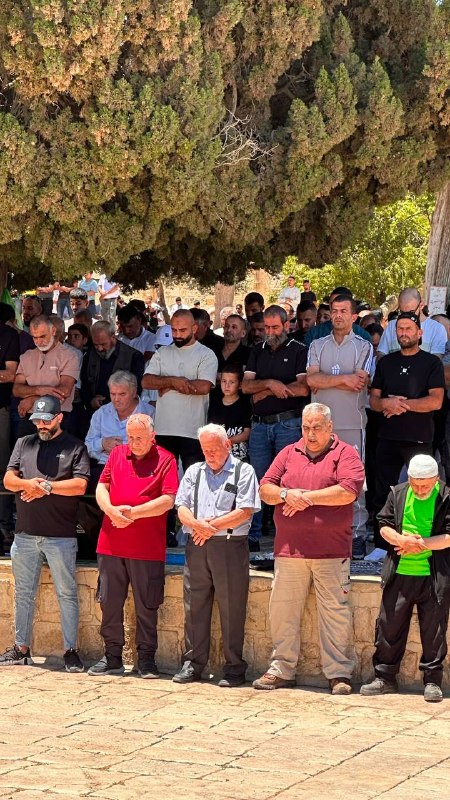 אין תוכן בדיווח המקורי.