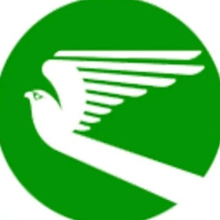 Telegram profile photo for Генеральный агент Turkmenistan airlines в РФ