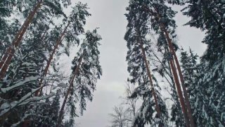 Русская зима попыталась побороть электрокар — не получилось.UMO 5 вывезли на трассу из Москвы в Суздаль в –20°C: печка работает, снег, никаких эко-режимов. Машина проехала почти 300 км с остатком в батарее.Внутри — Алиса AI, и это уже не просто голосовой п