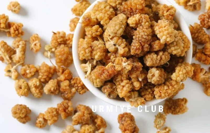 ارومیه کلوب | UrmiyeClub: 🔺فواید توت خشک!◽توت خشک منبع بسیار غنی از آهن و پروتین است و می ‌تواند در رفع کم‌خونی و نیز افزایش انرژی موردنیاز بدن، ب