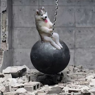 Funny videos & pictures Telegram Group Link