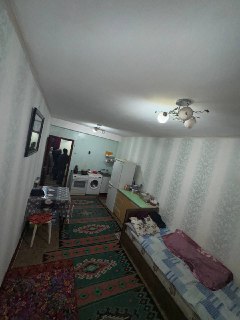 2hona galareka dom