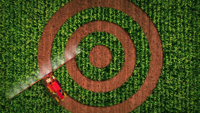 RFK Jr.'s next target: A common weedkiller