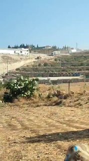 الاحتلال ينقل مستوطنات متنقلة إلى جبل طاروسا غربي دورا