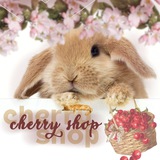 𝓒𝓱𝓮𝓻𝓻𝔂_𝓼𝓱𝓸𝓹🍒