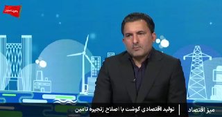 🎦 השקת שוק תרנגולות חדש כדי לשבור את המונופול של שוק כיכר בהמן