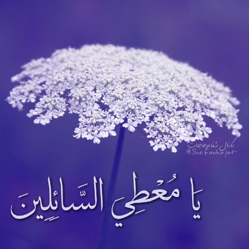 📖دُعآهآیِ قُرآنی وَسَریعُ الِاجابِه اَسرارِاِلهِی📖: #ختم🍃🍂 حاجت🍃🍂🖊 هر ڪس را حاجتے باشدهر روز ۶۰ مرتبہ بگوید 《يَا مُعْطِيَ‏ السَّائِلِينَ》 بہ مراد خویش خواهد رسید 📚 منتخب ال