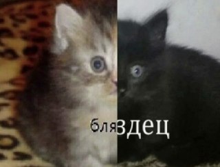 В Милане мужчина упал с балкона на прохожую, убил ее, но сам выжилКак пишет Corriere della Sera, 70-летний житель города, находившийся в состоянии глубокой депрессии, спрыгнул с балкона четвертого этажа своего дома.При падении он приземлился на 83-летнюю Ф