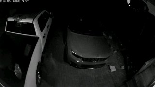 В Калифорнии медведи залезли в незапертые авто ради поиска еды Медведи легко отк