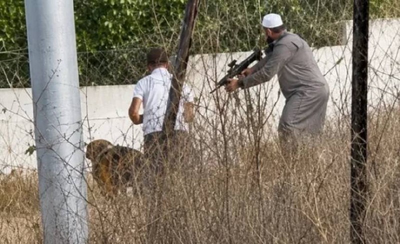 רשת חדשות ירושלים