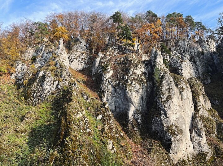 波蘭旅行｜小而美的國家公園