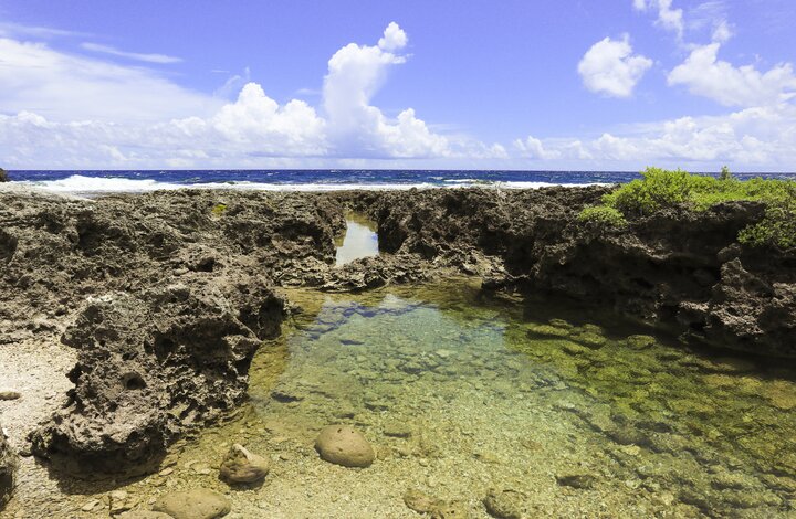香蕉灣 | 小幫手的告白