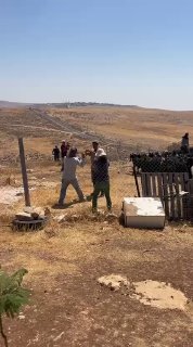חלק מתקיפת מיליציות המתנחלים על הקהילה הבדואית נאיף אל-כעבנה בכפר אל-טייבה, מזרחית לרמאללה.