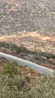מיליציות מתנחלים של ישראל תוקפות חקלאים פלסטינים תוך כדי מסיק זיתים באדמתן ליד הכפר אימאטין, מזרחית לקלקילי…